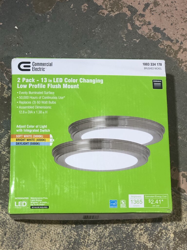 Flush Mount Light Fixture 2-Pack