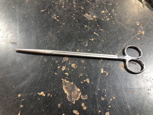 Dissecting Scissors